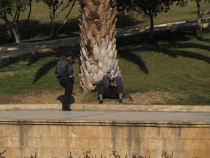 Турция: зимний довесок.