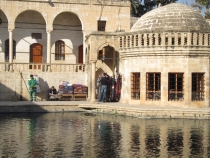 Турция: зимний довесок.