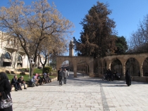 Турция: зимний довесок.