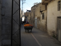 Турция: зимний довесок.