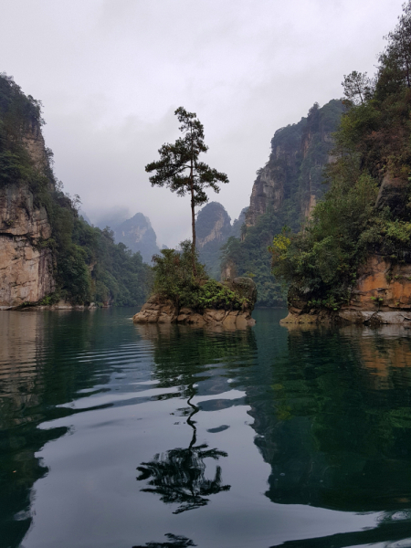Путешествие за красотой. Shanghai - Yangshuo - Fenghuang - Furong - Zhangjiajie - Hongkong - Makau. Сентябрь - октябрь 2019.