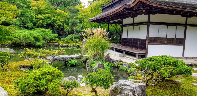 Дневник путешественника - Неоконченное путешествие в страну чудес- Япония – октябрь 2019