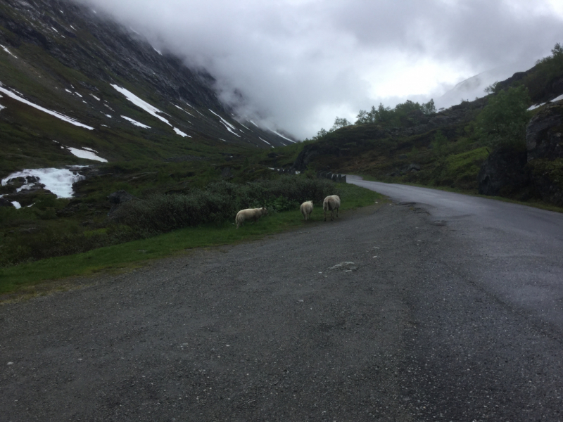 Дело было вечером, делать было нечего...а не махнуть ли нам в Троллькирку