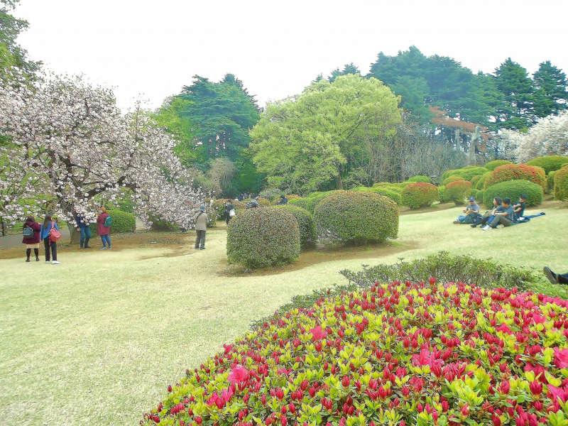 Токио. Апрель 2019.