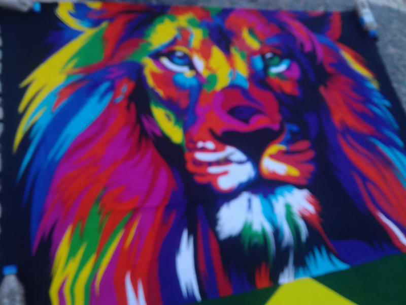 Три дня на Рио. Хостел, дискотека...