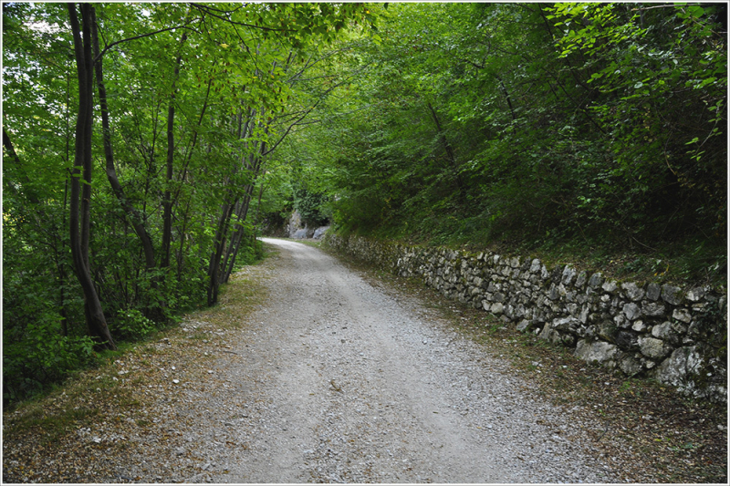 The old Ponale Road2