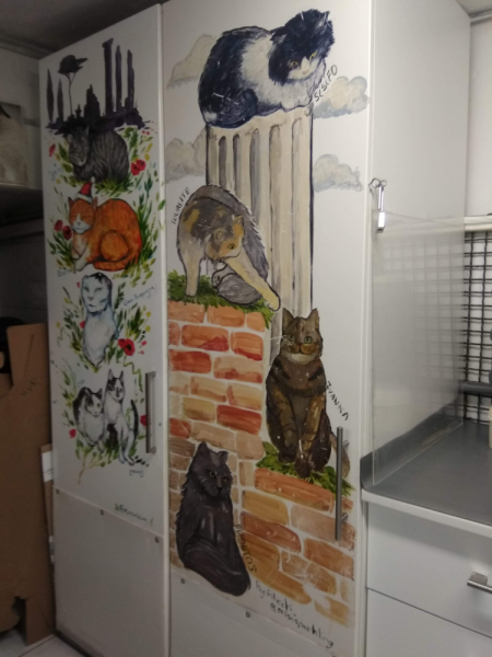 Кошки в нашей жизни. Кошки и все, что с ними связано.