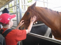 Другая планета - Австралия (конец мая-начало июня 2010).