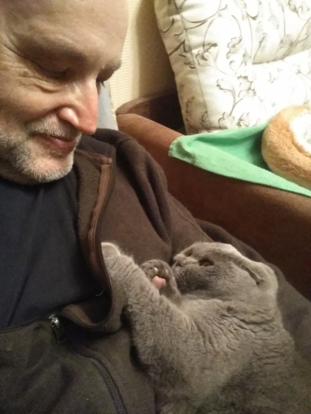 Кошки в нашей жизни. Кошки и все, что с ними связано.