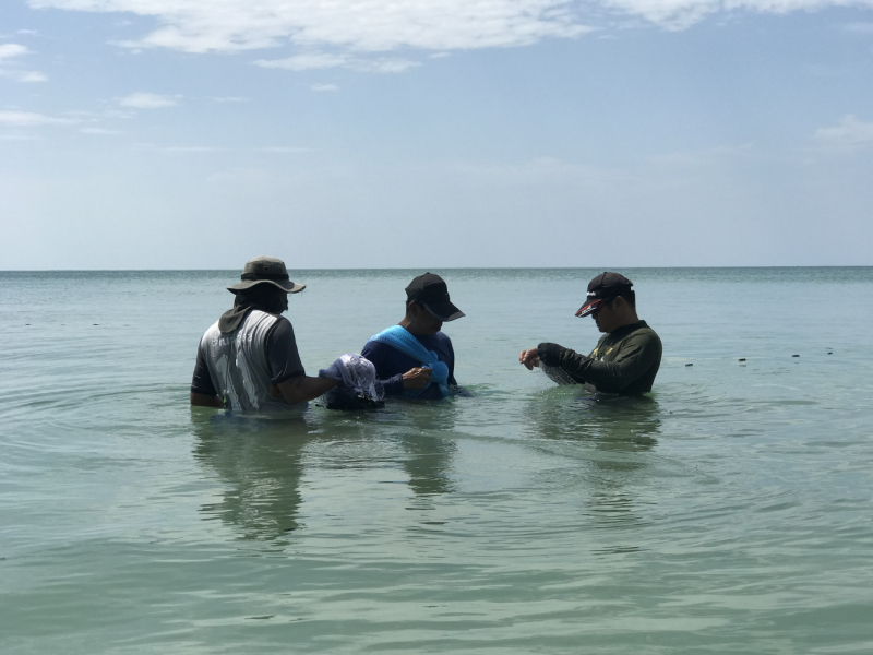 Ожидание vs Реальность отдыха с малышом. Пхукет, Пхи-Пхи, Краби, Бангкок октябрь-ноябрь 2019