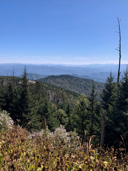 Из Вашингтона в Щикаго по Blue Ridge Parkway