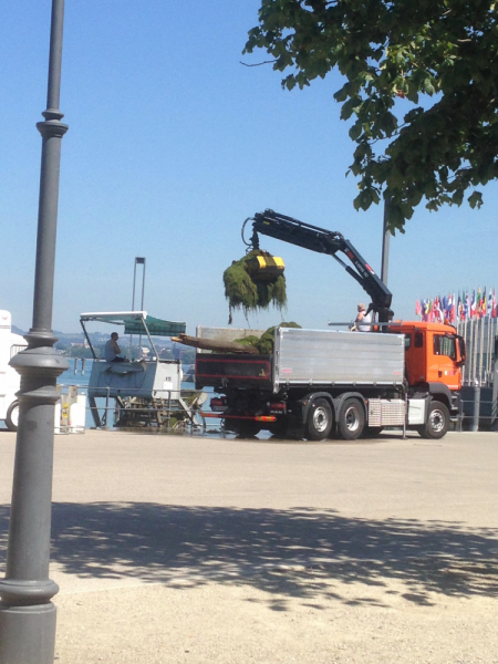 Из дальних стран 2019 с большим приветом ( Польша, Германия, Австрия, Словения, Италия....)