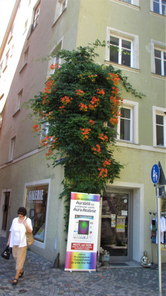 Из дальних стран 2019 с большим приветом ( Польша, Германия, Австрия, Словения, Италия....)