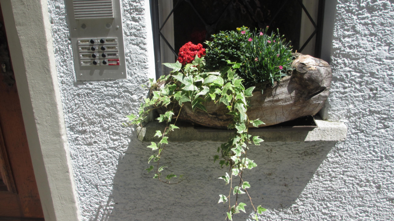 Из дальних стран 2019 с большим приветом ( Польша, Германия, Австрия, Словения, Италия....)