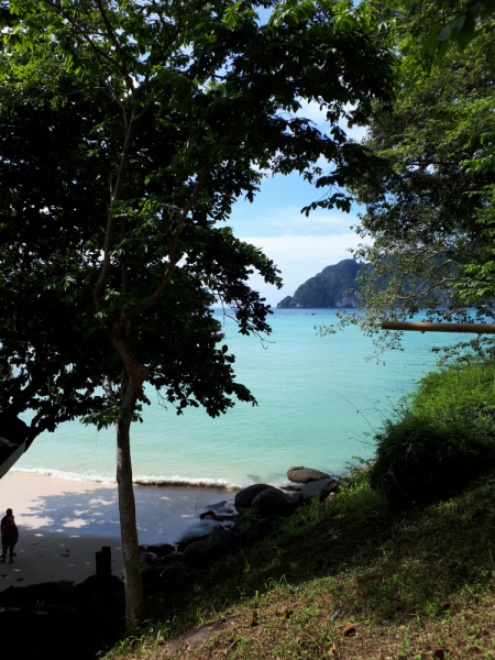 Ожидание vs Реальность отдыха с малышом. Пхукет, Пхи-Пхи, Краби, Бангкок октябрь-ноябрь 2019