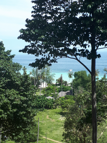 Ожидание vs Реальность отдыха с малышом. Пхукет, Пхи-Пхи, Краби, Бангкок октябрь-ноябрь 2019