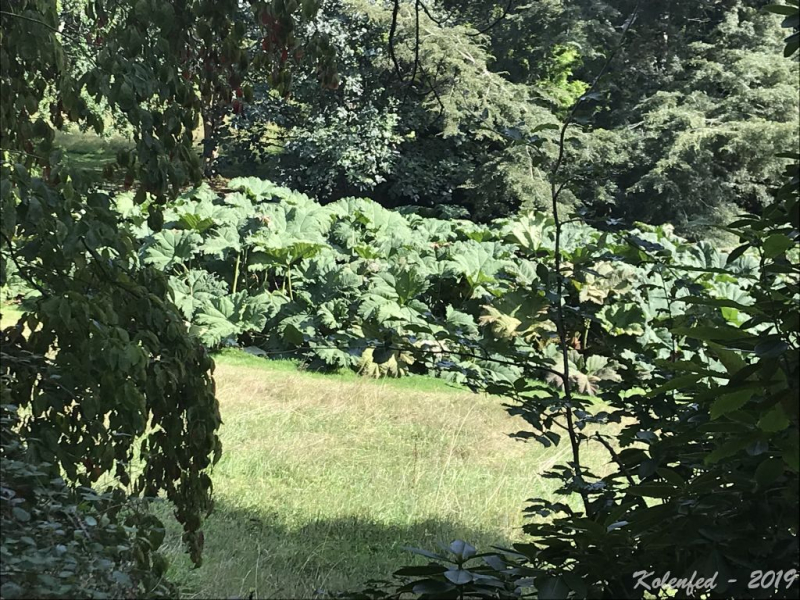 «Что-то пошло не так» – автотрип по Европе-2019, вопреки обстоятельствам.