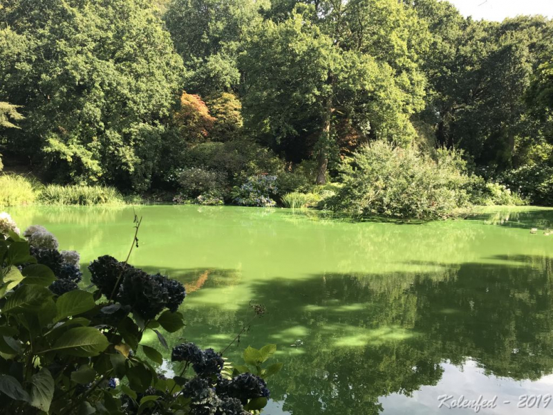 «Что-то пошло не так» – автотрип по Европе-2019, вопреки обстоятельствам.