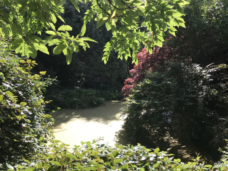 «Что-то пошло не так» – автотрип по Европе-2019, вопреки обстоятельствам.