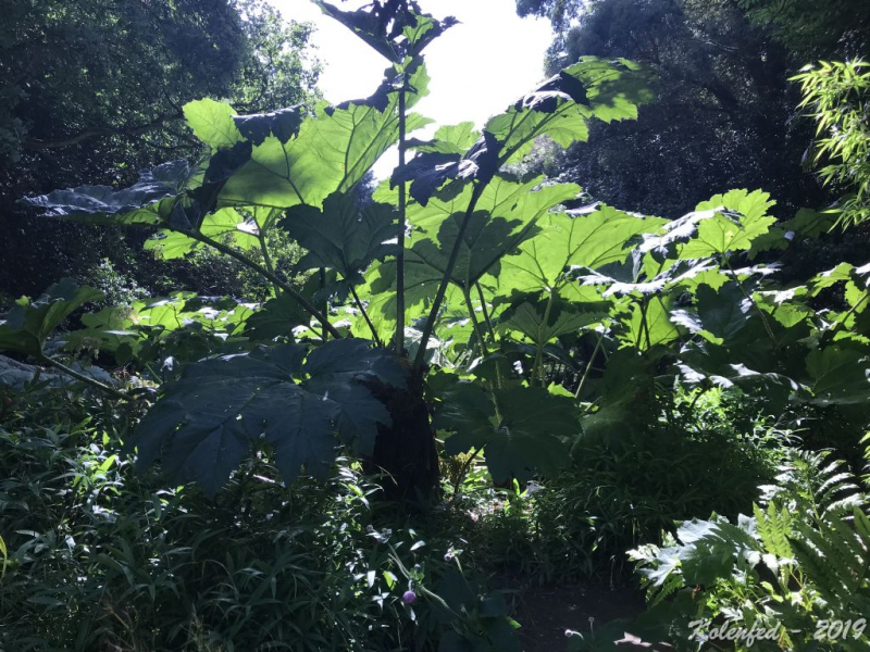 «Что-то пошло не так» – автотрип по Европе-2019, вопреки обстоятельствам.