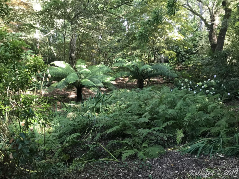 «Что-то пошло не так» – автотрип по Европе-2019, вопреки обстоятельствам.