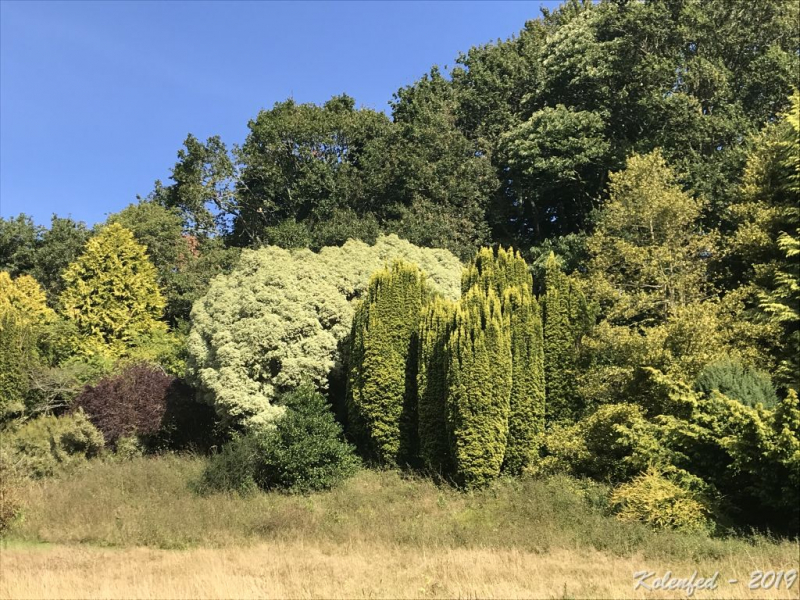 «Что-то пошло не так» – автотрип по Европе-2019, вопреки обстоятельствам.