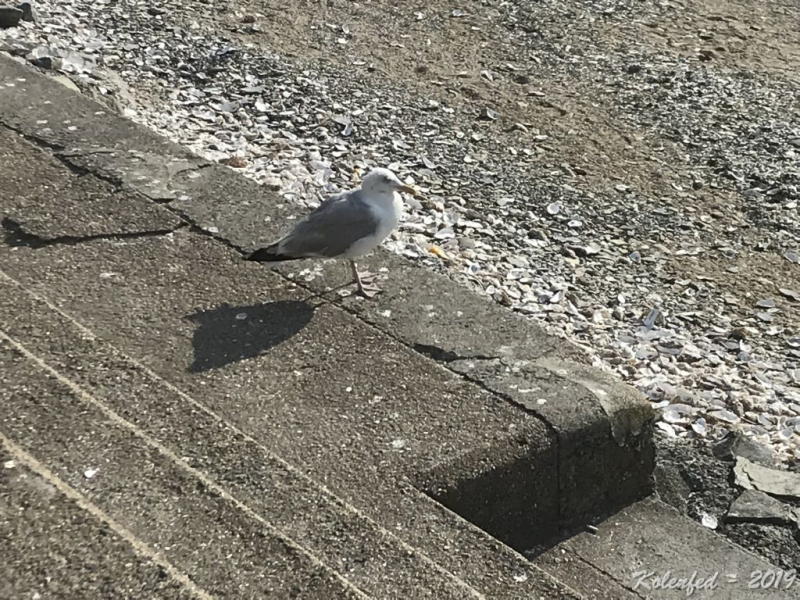 «Что-то пошло не так» – автотрип по Европе-2019, вопреки обстоятельствам. «Что-то пошло не так» – автотрип по Европе-2019, вопреки обстоятельствам.