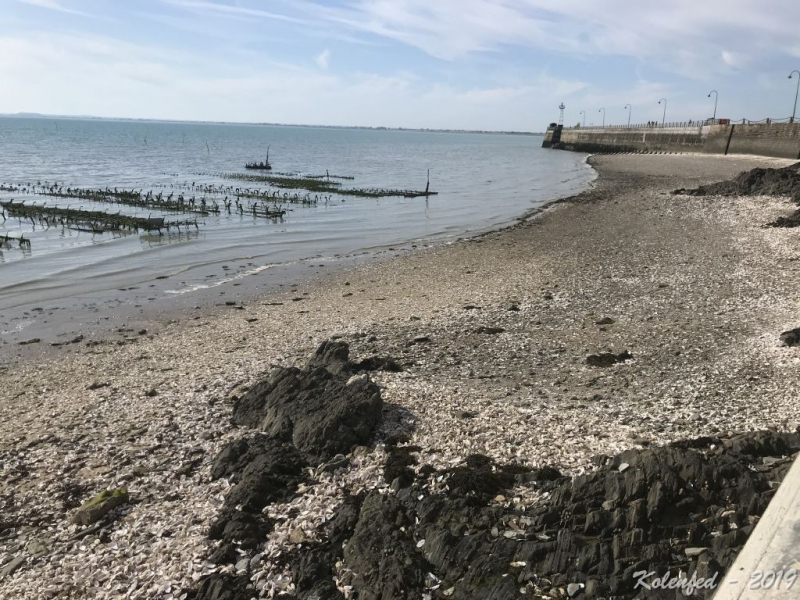 «Что-то пошло не так» – автотрип по Европе-2019, вопреки обстоятельствам. «Что-то пошло не так» – автотрип по Европе-2019, вопреки обстоятельствам.