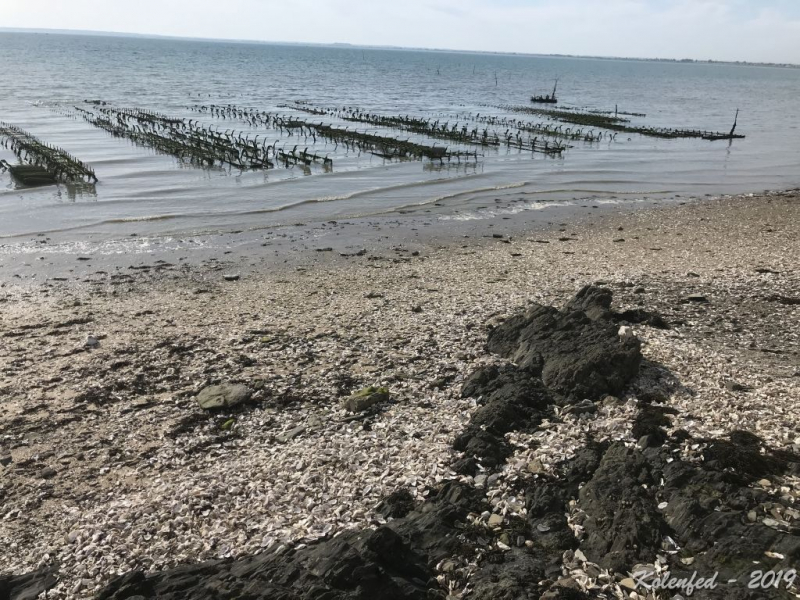 «Что-то пошло не так» – автотрип по Европе-2019, вопреки обстоятельствам. «Что-то пошло не так» – автотрип по Европе-2019, вопреки обстоятельствам.