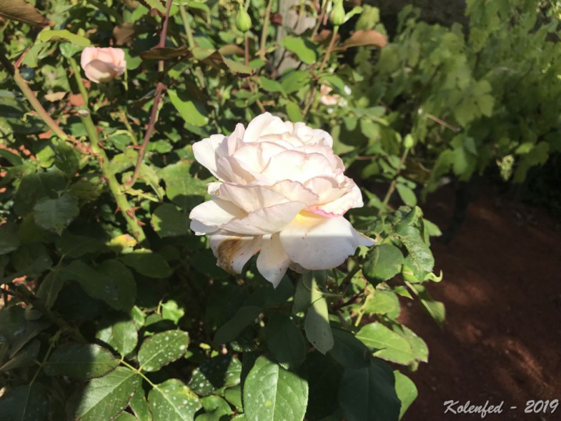 «Что-то пошло не так» – автотрип по Европе-2019, вопреки обстоятельствам. «Что-то пошло не так» – автотрип по Европе-2019, вопреки обстоятельствам.