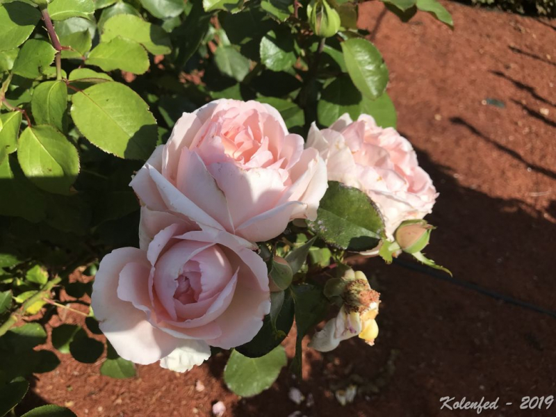 «Что-то пошло не так» – автотрип по Европе-2019, вопреки обстоятельствам. «Что-то пошло не так» – автотрип по Европе-2019, вопреки обстоятельствам.