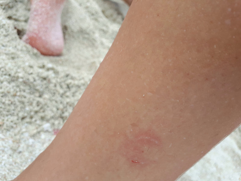 Ожидание vs Реальность отдыха с малышом. Пхукет, Пхи-Пхи, Краби, Бангкок октябрь-ноябрь 2019