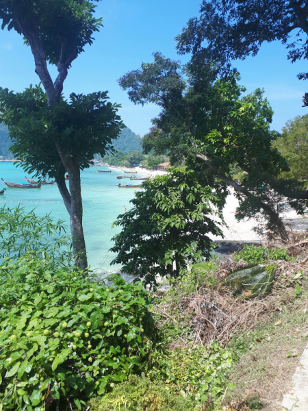 Ожидание vs Реальность отдыха с малышом. Пхукет, Пхи-Пхи, Краби, Бангкок октябрь-ноябрь 2019