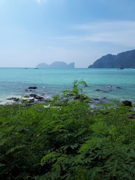 Ожидание vs Реальность отдыха с малышом. Пхукет, Пхи-Пхи, Краби, Бангкок октябрь-ноябрь 2019