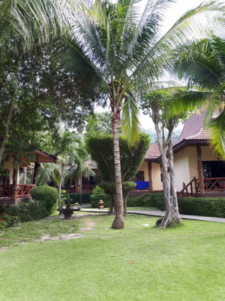 Ожидание vs Реальность отдыха с малышом. Пхукет, Пхи-Пхи, Краби, Бангкок октябрь-ноябрь 2019