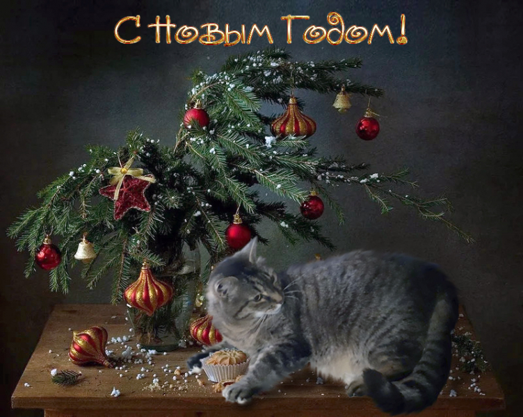 Кошки в нашей жизни. Кошки и все, что с ними связано.