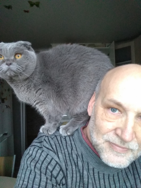 Кошки в нашей жизни. Кошки и все, что с ними связано.