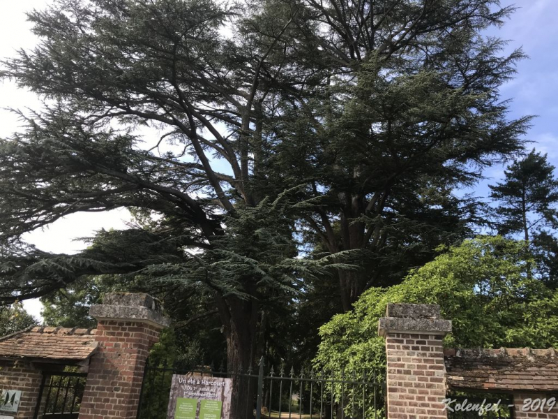 «Что-то пошло не так» – автотрип по Европе-2019, вопреки обстоятельствам.