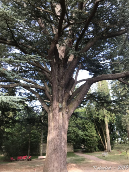 «Что-то пошло не так» – автотрип по Европе-2019, вопреки обстоятельствам.