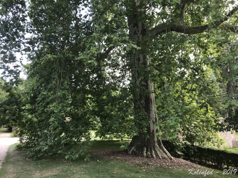 «Что-то пошло не так» – автотрип по Европе-2019, вопреки обстоятельствам.