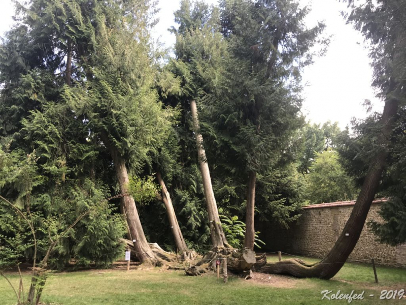 «Что-то пошло не так» – автотрип по Европе-2019, вопреки обстоятельствам.