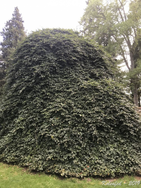 «Что-то пошло не так» – автотрип по Европе-2019, вопреки обстоятельствам.