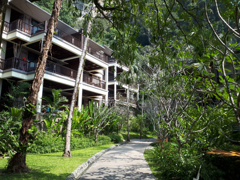 Ожидание vs Реальность отдыха с малышом. Пхукет, Пхи-Пхи, Краби, Бангкок октябрь-ноябрь 2019