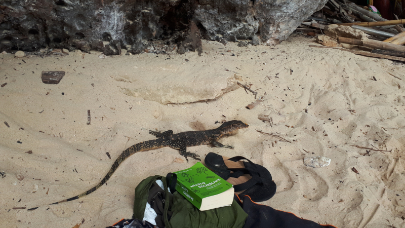 Ожидание vs Реальность отдыха с малышом. Пхукет, Пхи-Пхи, Краби, Бангкок октябрь-ноябрь 2019