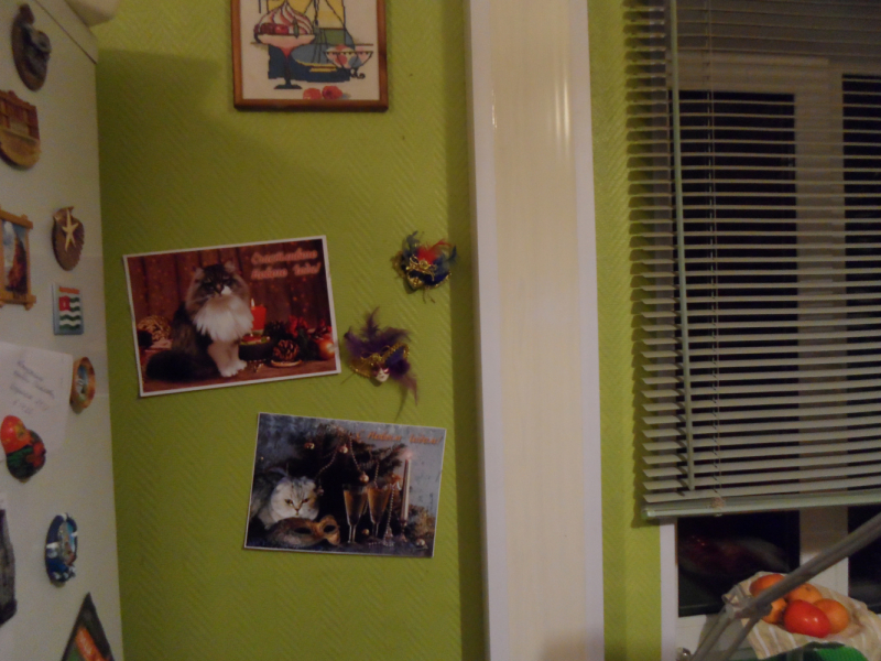 Кошки в нашей жизни. Кошки и все, что с ними связано.