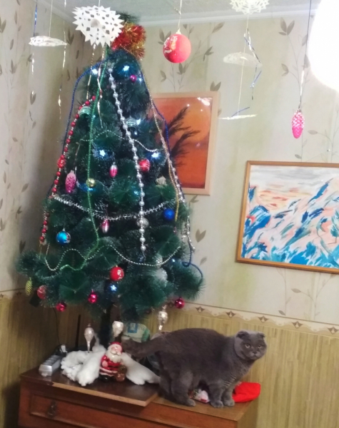 Кошки в нашей жизни. Кошки и все, что с ними связано.