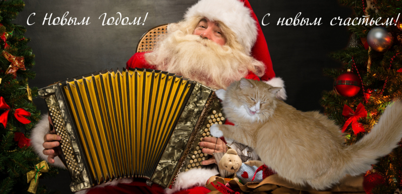 Кошки в нашей жизни. Кошки и все, что с ними связано.