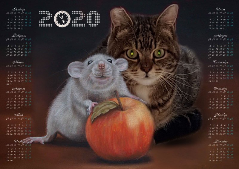 Кошки в нашей жизни. Кошки и все, что с ними связано.