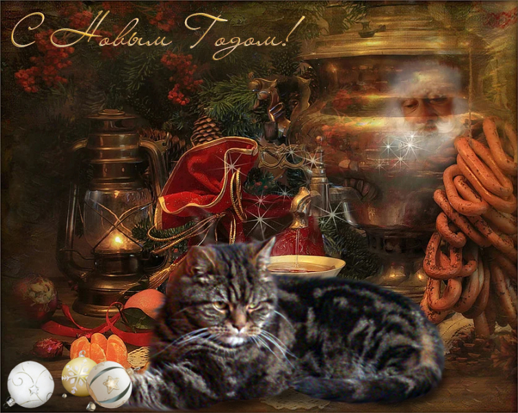 Кошки в нашей жизни. Кошки и все, что с ними связано.