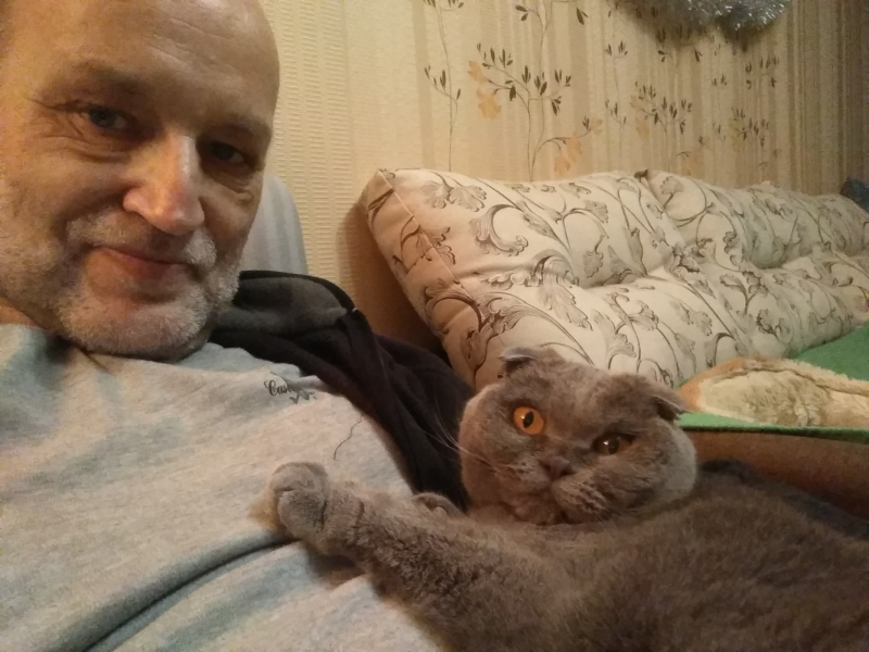 Кошки в нашей жизни. Кошки и все, что с ними связано.